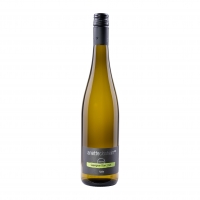 Anette Closheim | Sauvignon Blanc savvy 2024