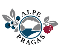 Alpe Pragas