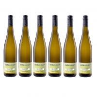 Anette Closheim | Blanc 6er Weinpaket