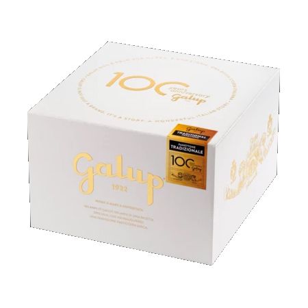 Galup | Panettone Tradizionale | 500g